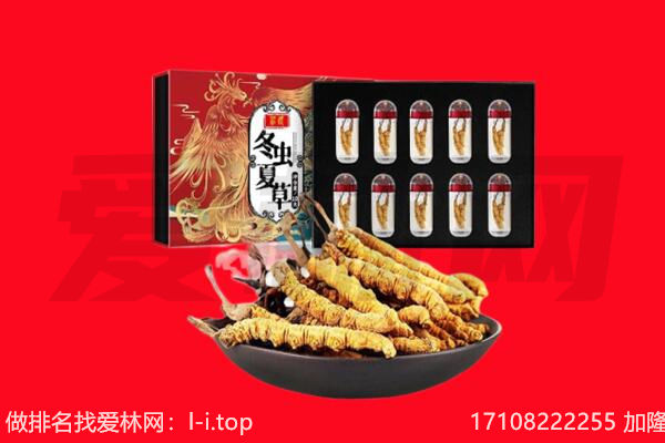 丽江市古城回收虫草.jpg